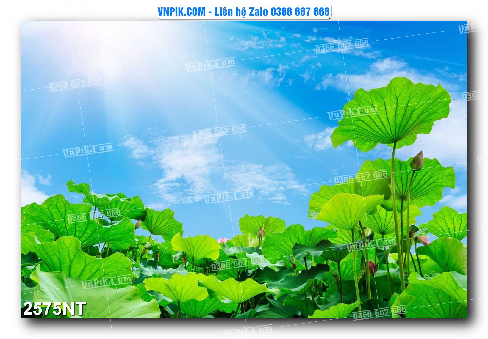Tranh Trang Trí Phong Cảnh Nghệ Thuật Mã Số 2575NT