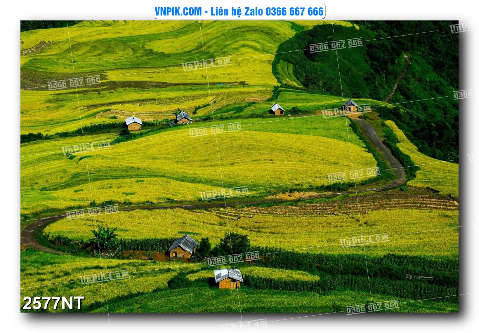 Tranh Trang Trí Phong Cảnh Nghệ Thuật Mã Số 2577NT