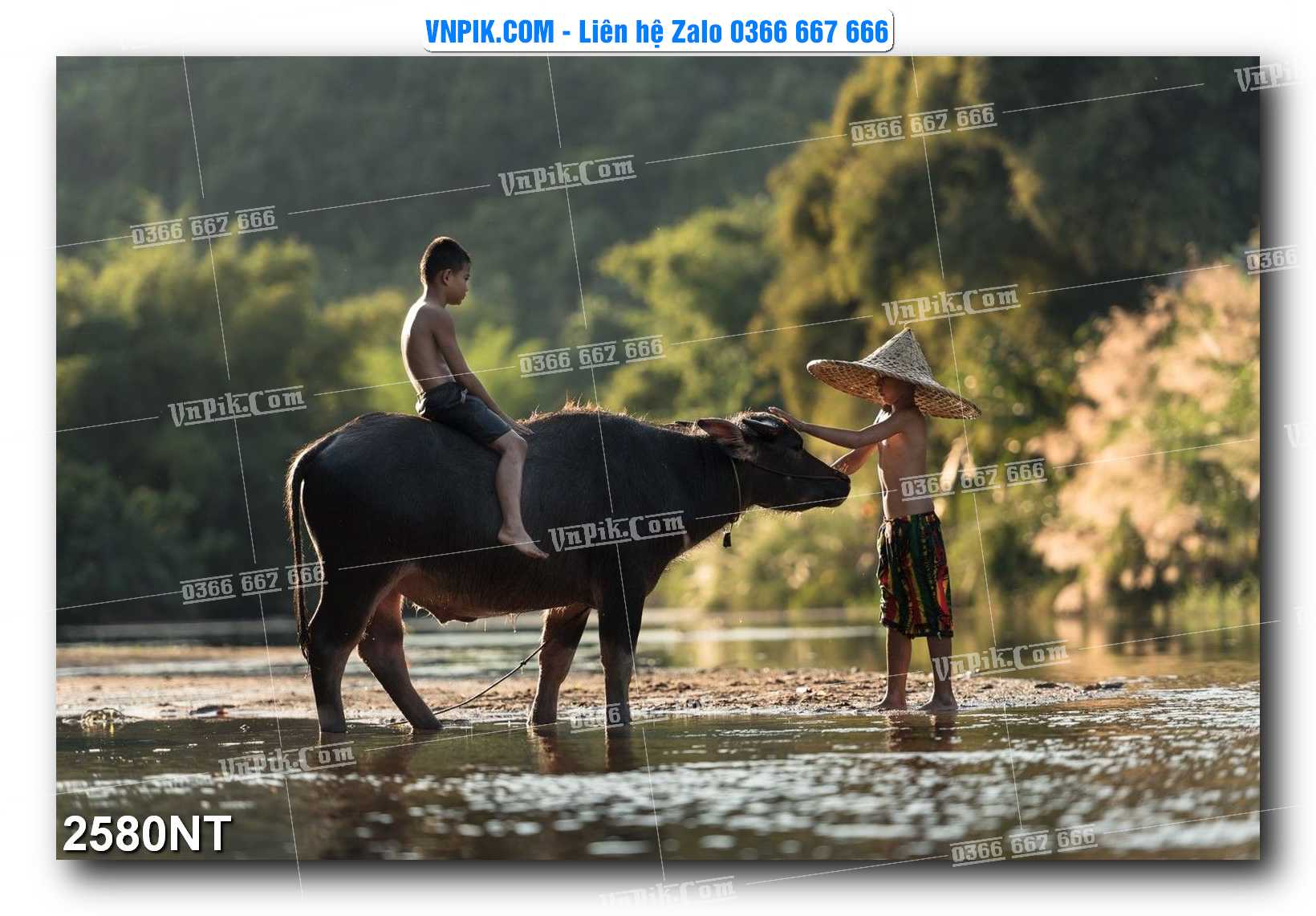 Tranh Trang Trí Phong Cảnh Nghệ Thuật Mã Số 2580NT