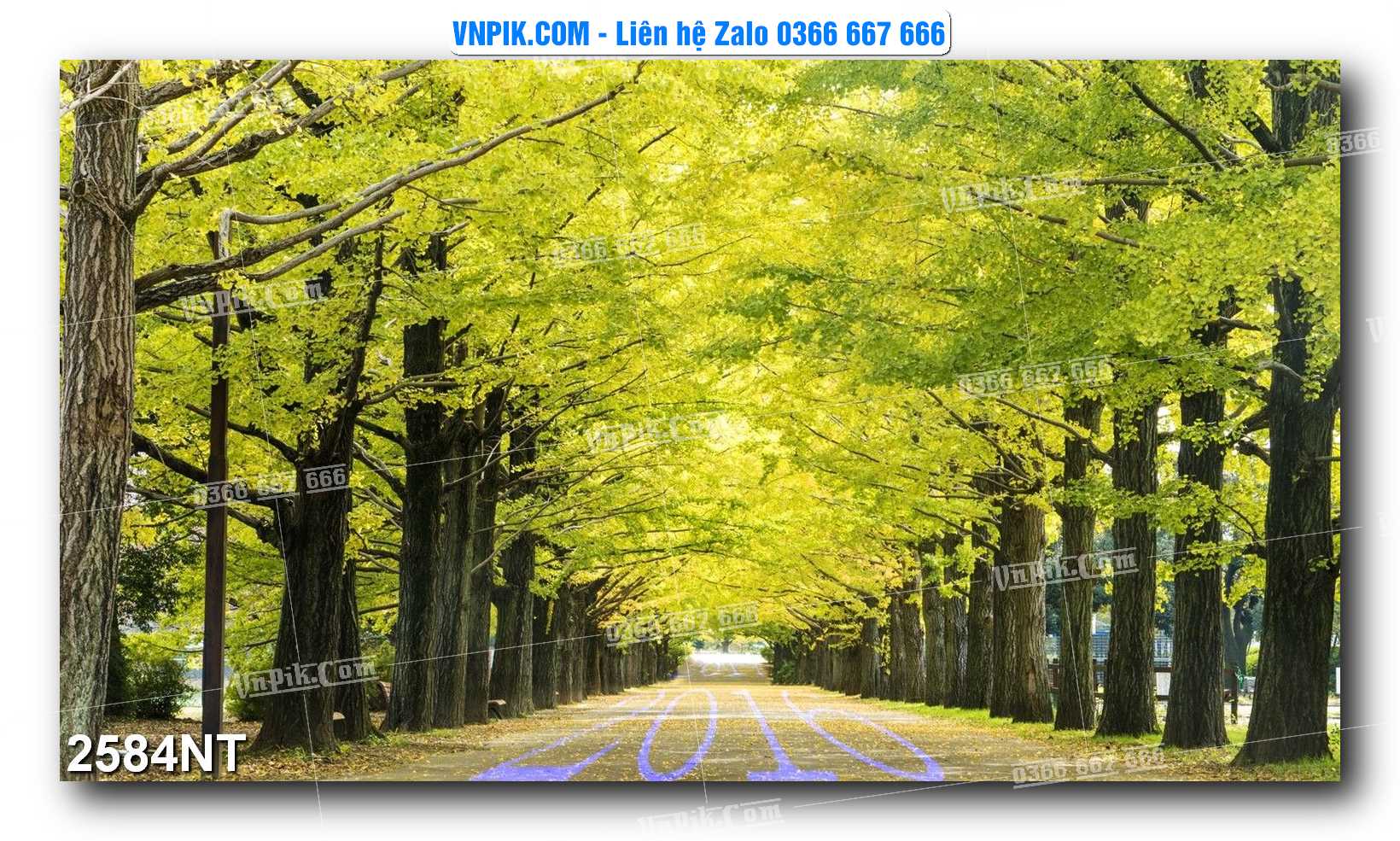 Tranh Trang Trí Phong Cảnh Nghệ Thuật Mã Số 2584NT