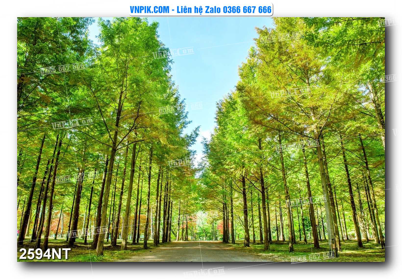 Tranh Trang Trí Phong Cảnh Nghệ Thuật Mã Số 2594NT