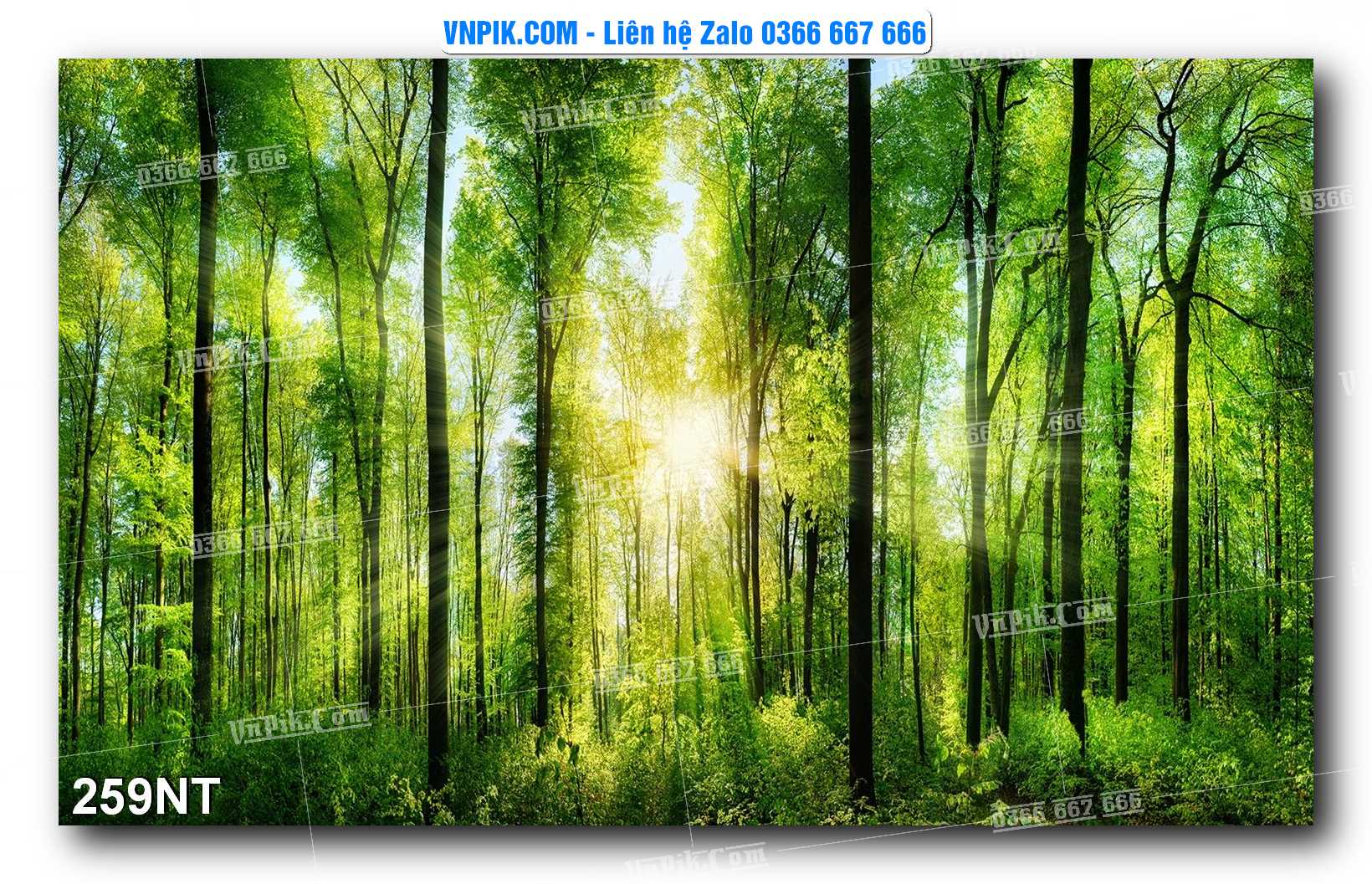 Tranh Trang Trí Phong Cảnh Nghệ Thuật Mã Số 259NT
