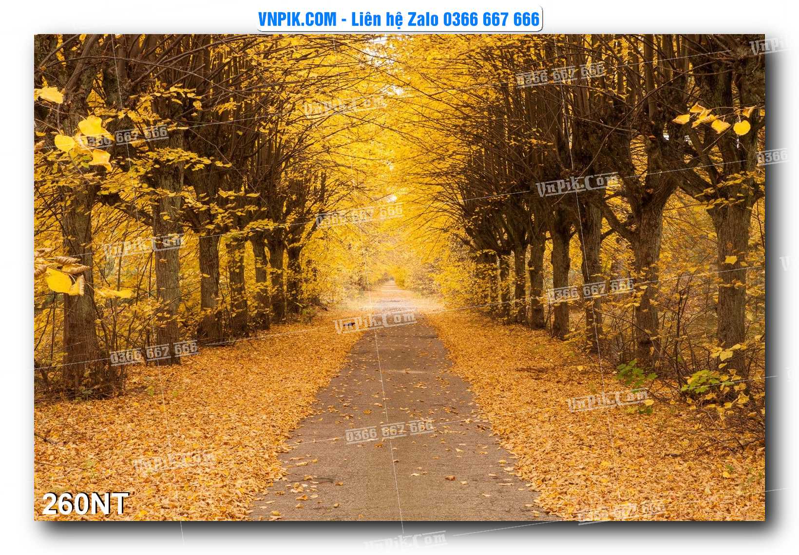 Tranh Trang Trí Phong Cảnh Nghệ Thuật Mã Số 260NT