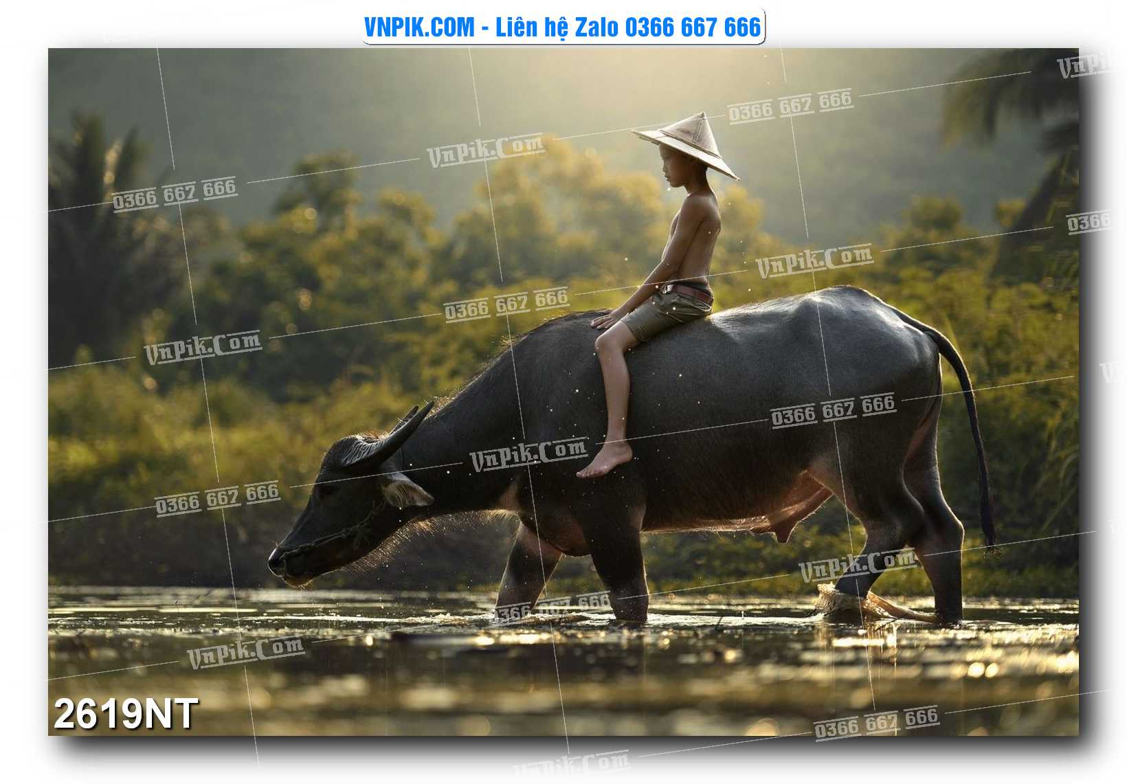 Tranh Trang Trí Phong Cảnh Nghệ Thuật Mã Số 2619NT