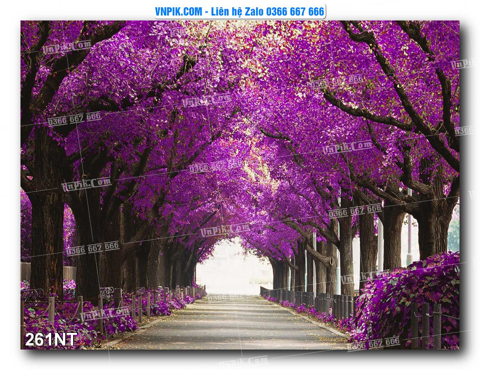 Tranh Trang Trí Phong Cảnh Nghệ Thuật Mã Số 261NT