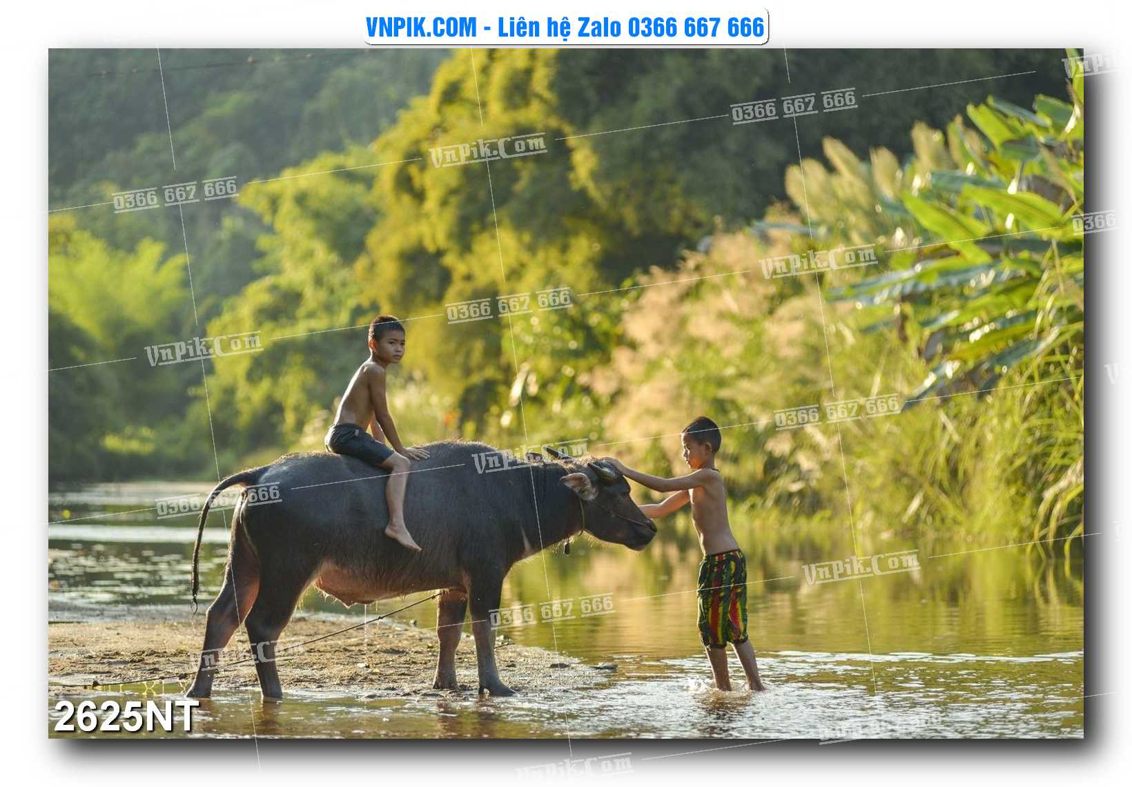 Tranh Trang Trí Phong Cảnh Nghệ Thuật Mã Số 2625NT