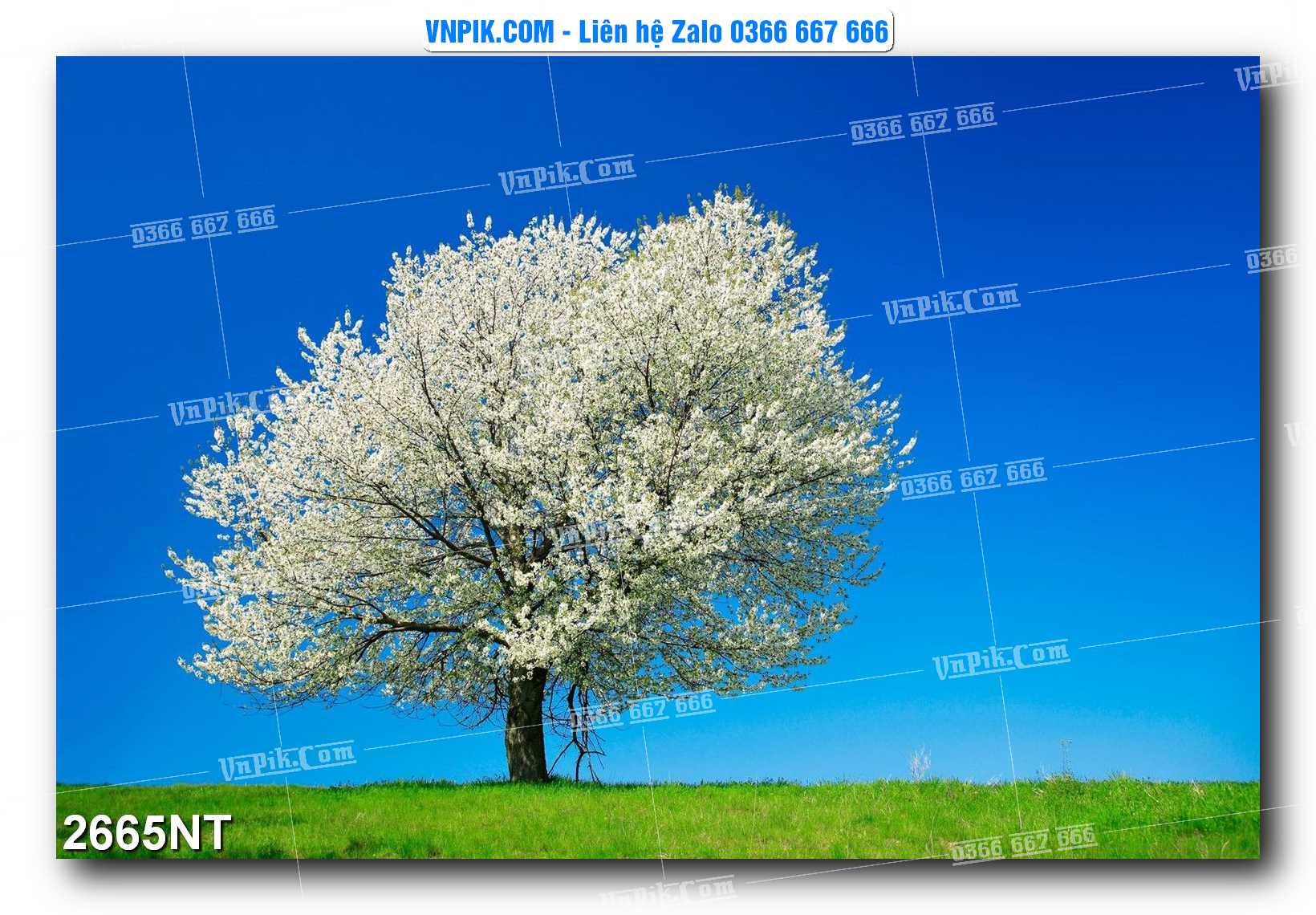 Tranh Trang Trí Phong Cảnh Nghệ Thuật Mã Số 2665NT