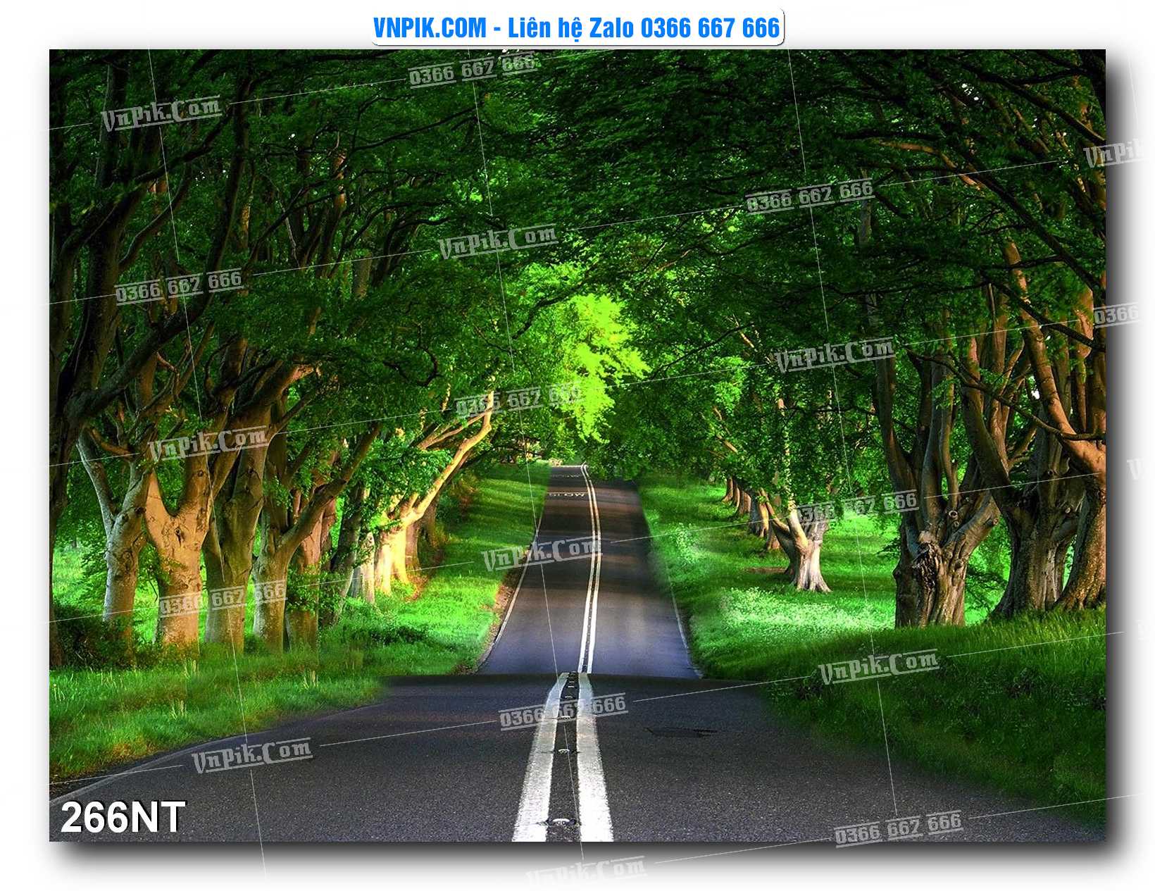 Tranh Trang Trí Phong Cảnh Nghệ Thuật Mã Số 266NT