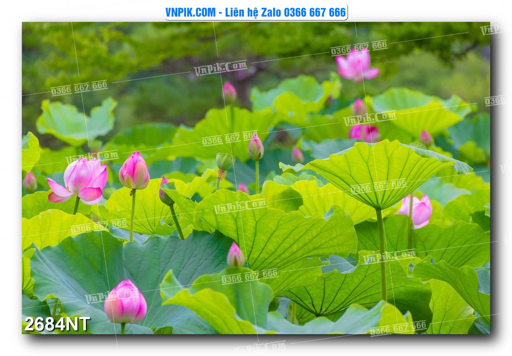 Tranh Trang Trí Phong Cảnh Nghệ Thuật Mã Số 2684NT