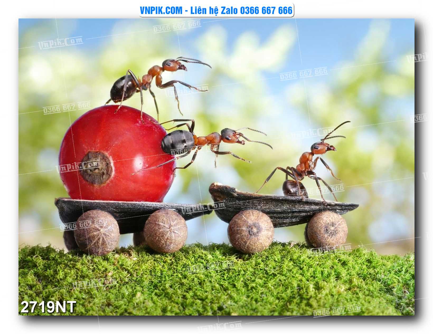 Tranh Trang Trí Phong Cảnh Nghệ Thuật Mã Số 2719NT