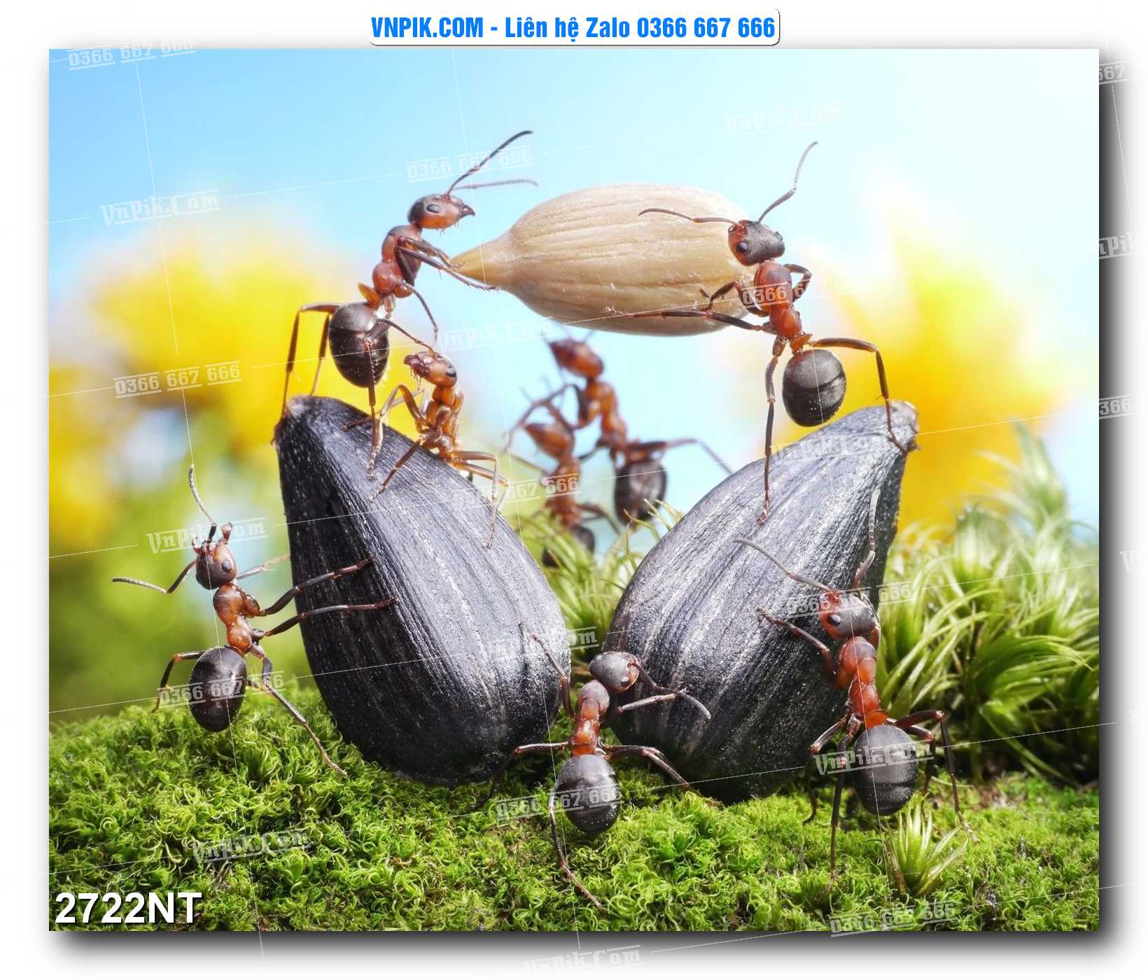 Tranh Trang Trí Phong Cảnh Nghệ Thuật Mã Số 2722NT