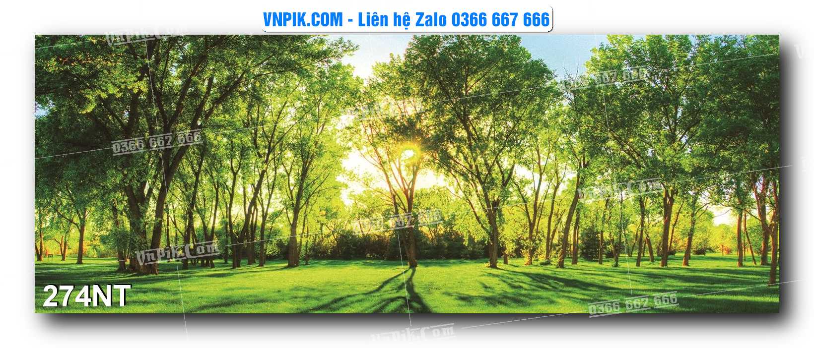 Tranh Trang Trí Phong Cảnh Nghệ Thuật Mã Số 274NT