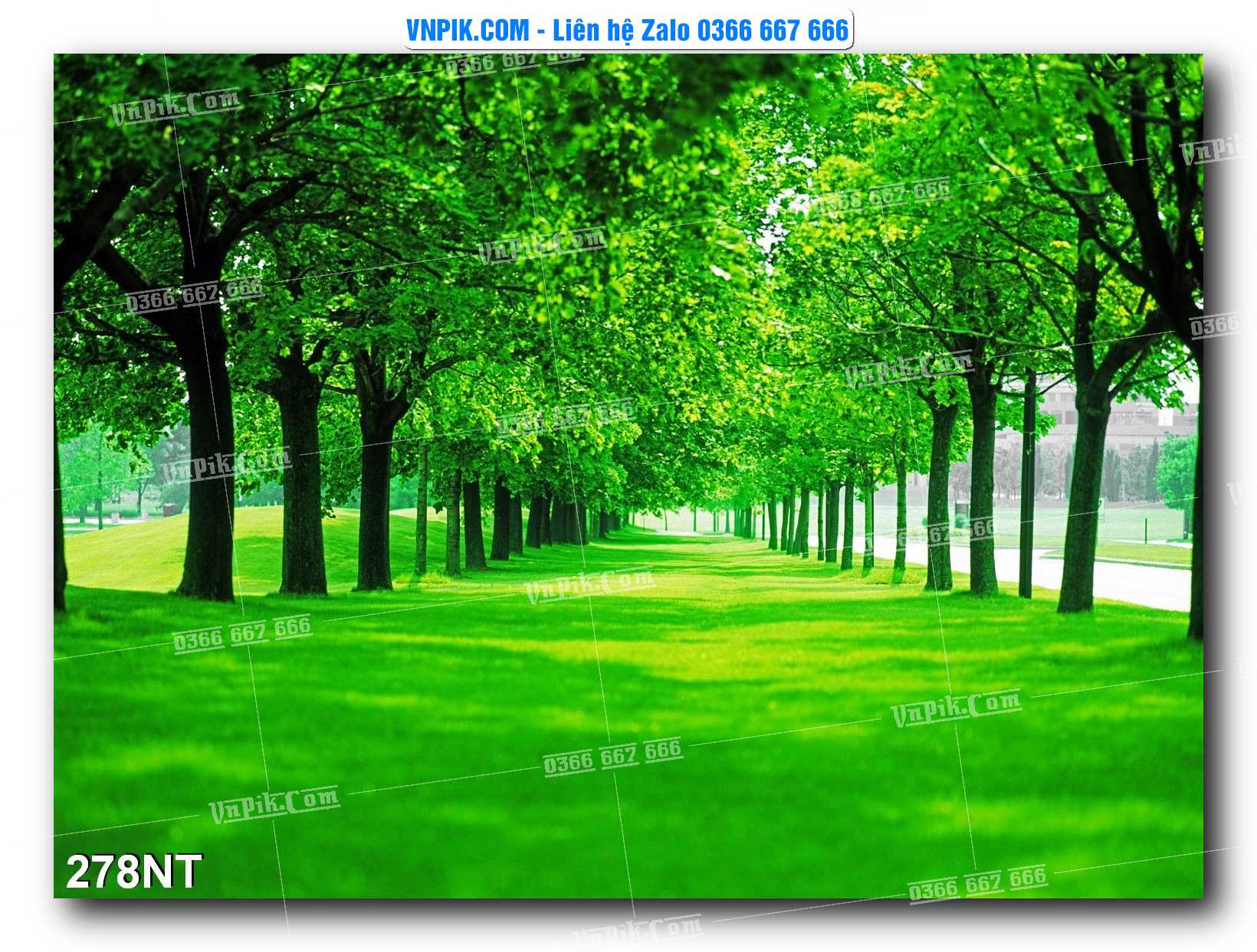 Tranh Trang Trí Phong Cảnh Nghệ Thuật Mã Số 278NT