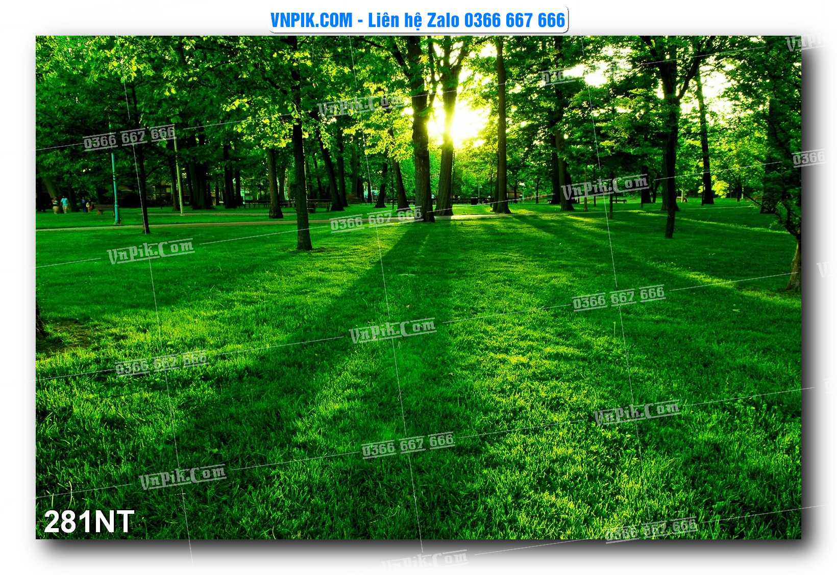 Tranh Trang Trí Phong Cảnh Nghệ Thuật Mã Số 281NT