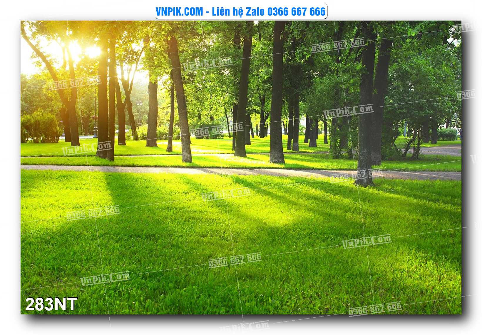Tranh Trang Trí Phong Cảnh Nghệ Thuật Mã Số 283NT