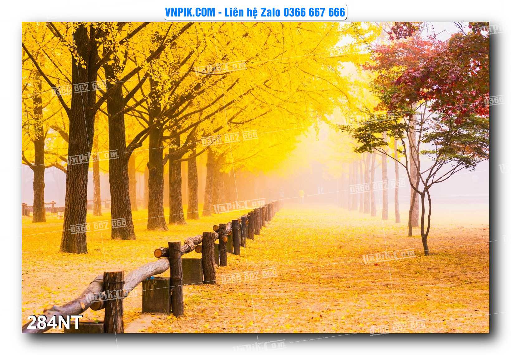 Tranh Trang Trí Phong Cảnh Nghệ Thuật Mã Số 284NT