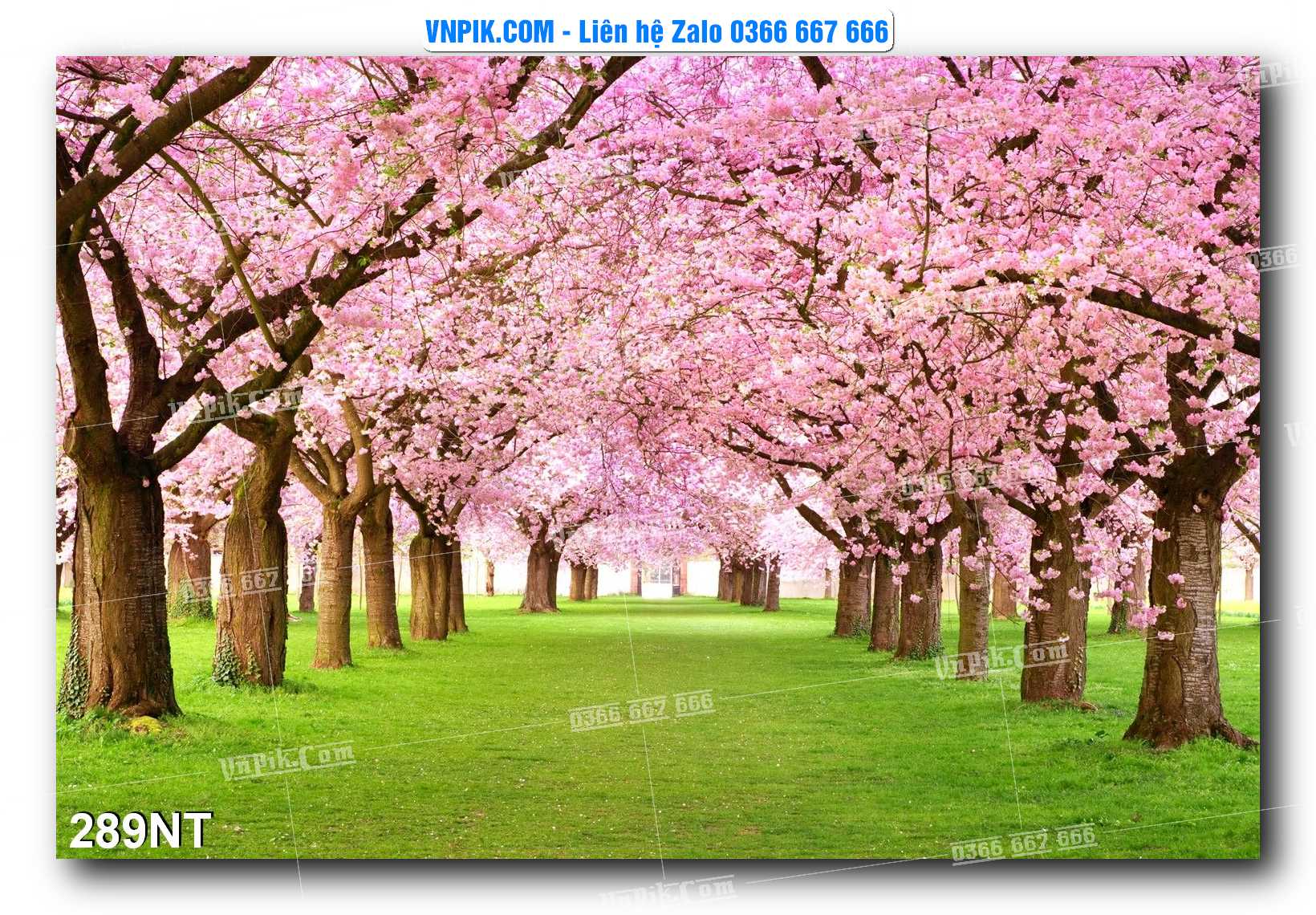 Tranh Trang Trí Phong Cảnh Nghệ Thuật Mã Số 289NT