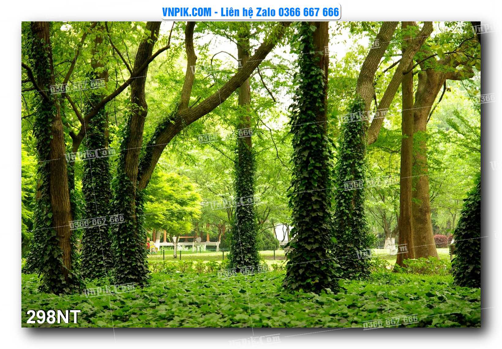 Tranh Trang Trí Phong Cảnh Nghệ Thuật Mã Số 298NT