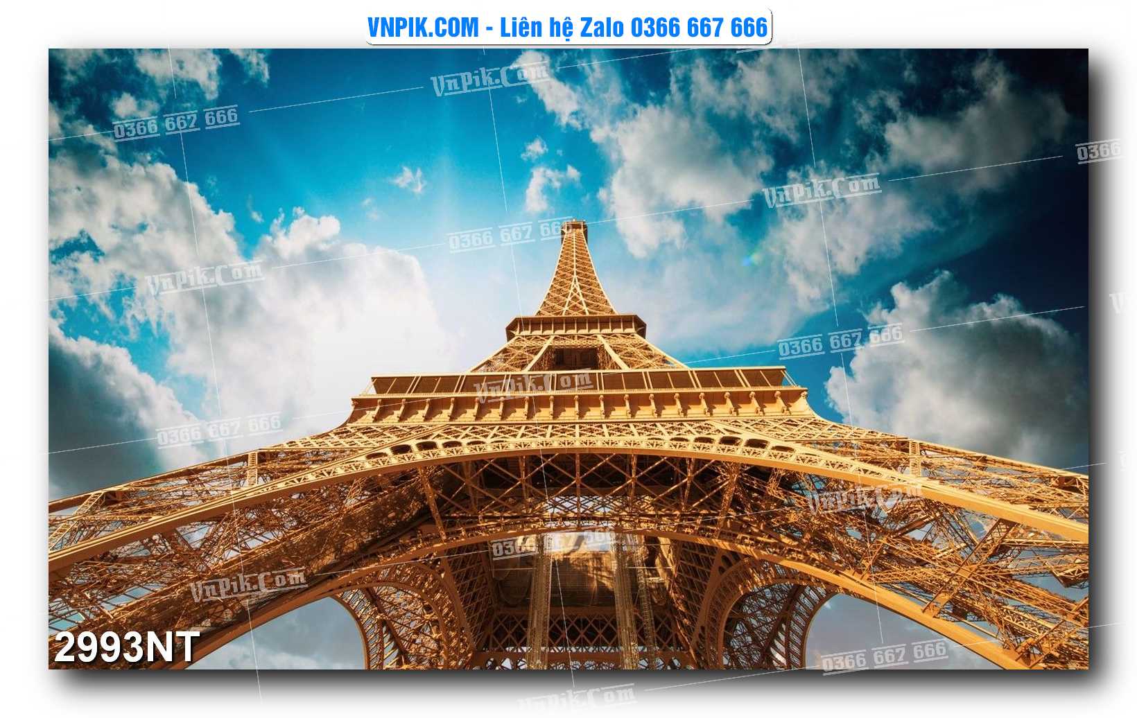 Tranh Trang Trí Phong Cảnh Nghệ Thuật Mã Số 2993NT