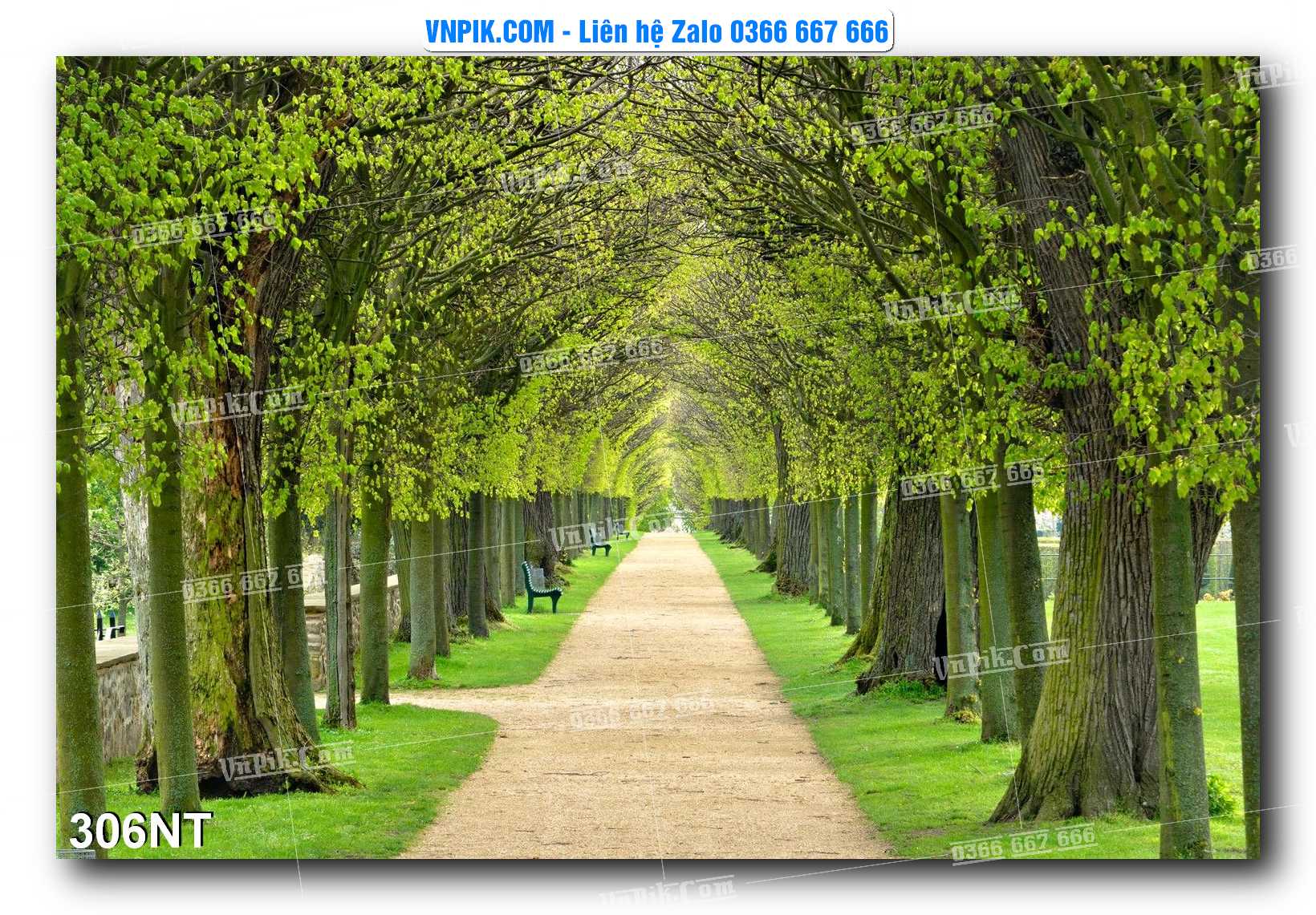Tranh Trang Trí Phong Cảnh Nghệ Thuật Mã Số 306NT