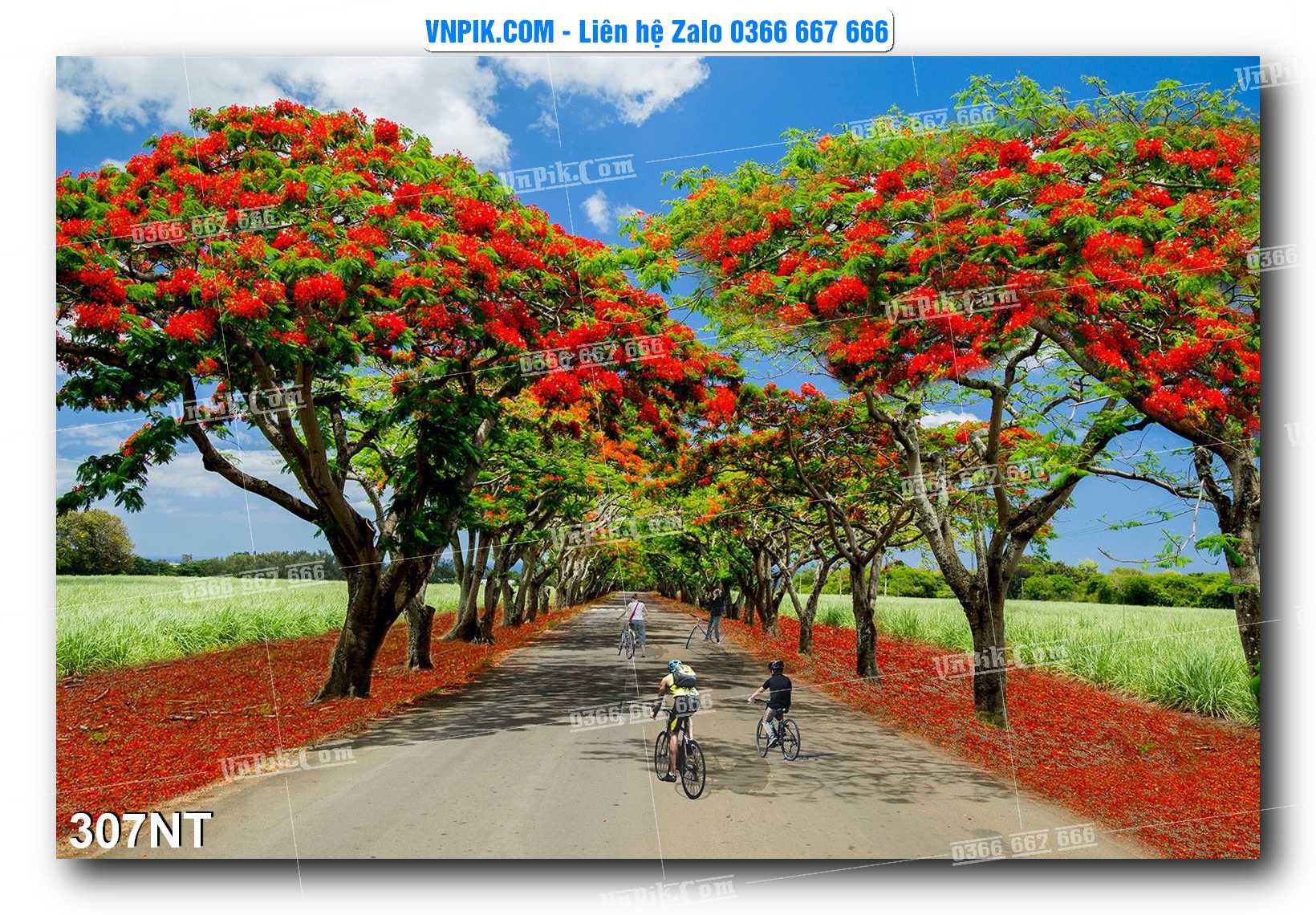 Tranh Trang Trí Phong Cảnh Nghệ Thuật Mã Số 307NT