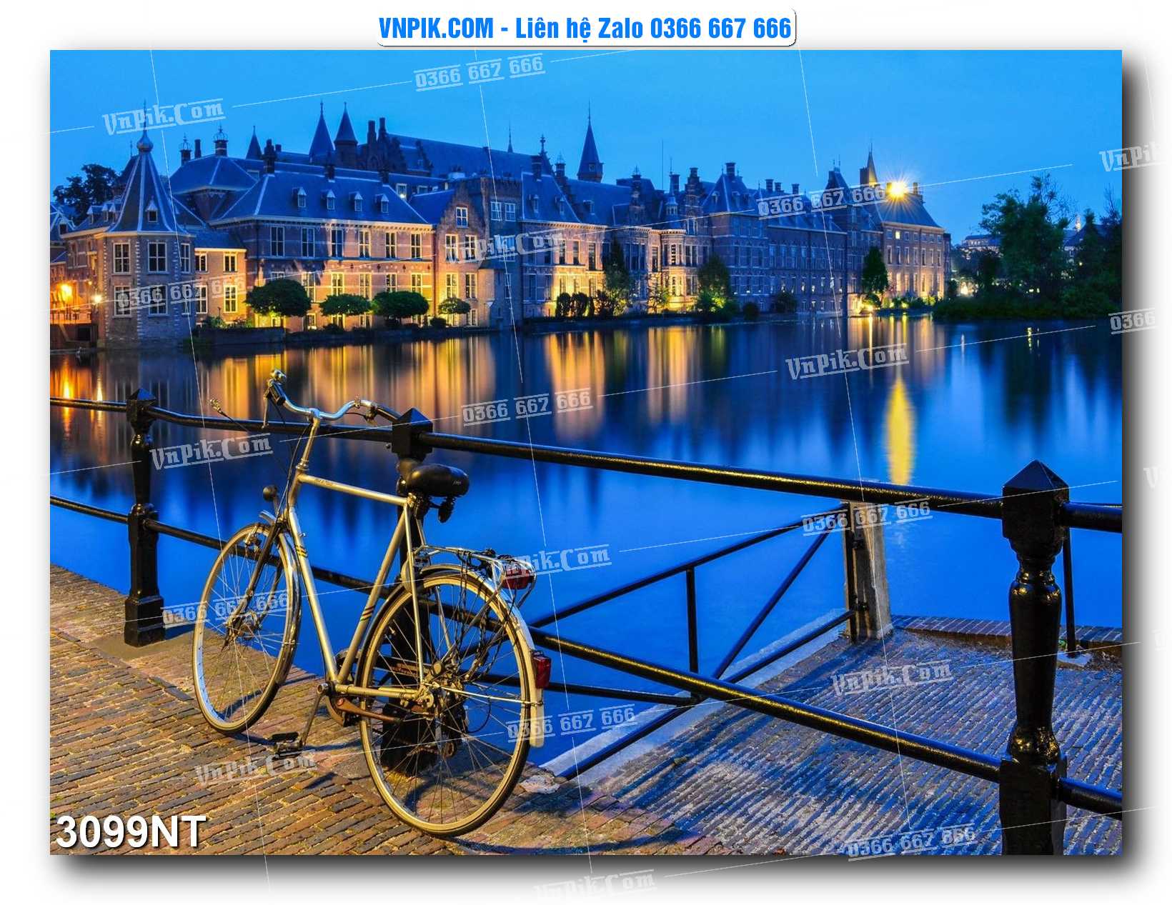 Tranh Trang Trí Phong Cảnh Nghệ Thuật Mã Số 3099NT