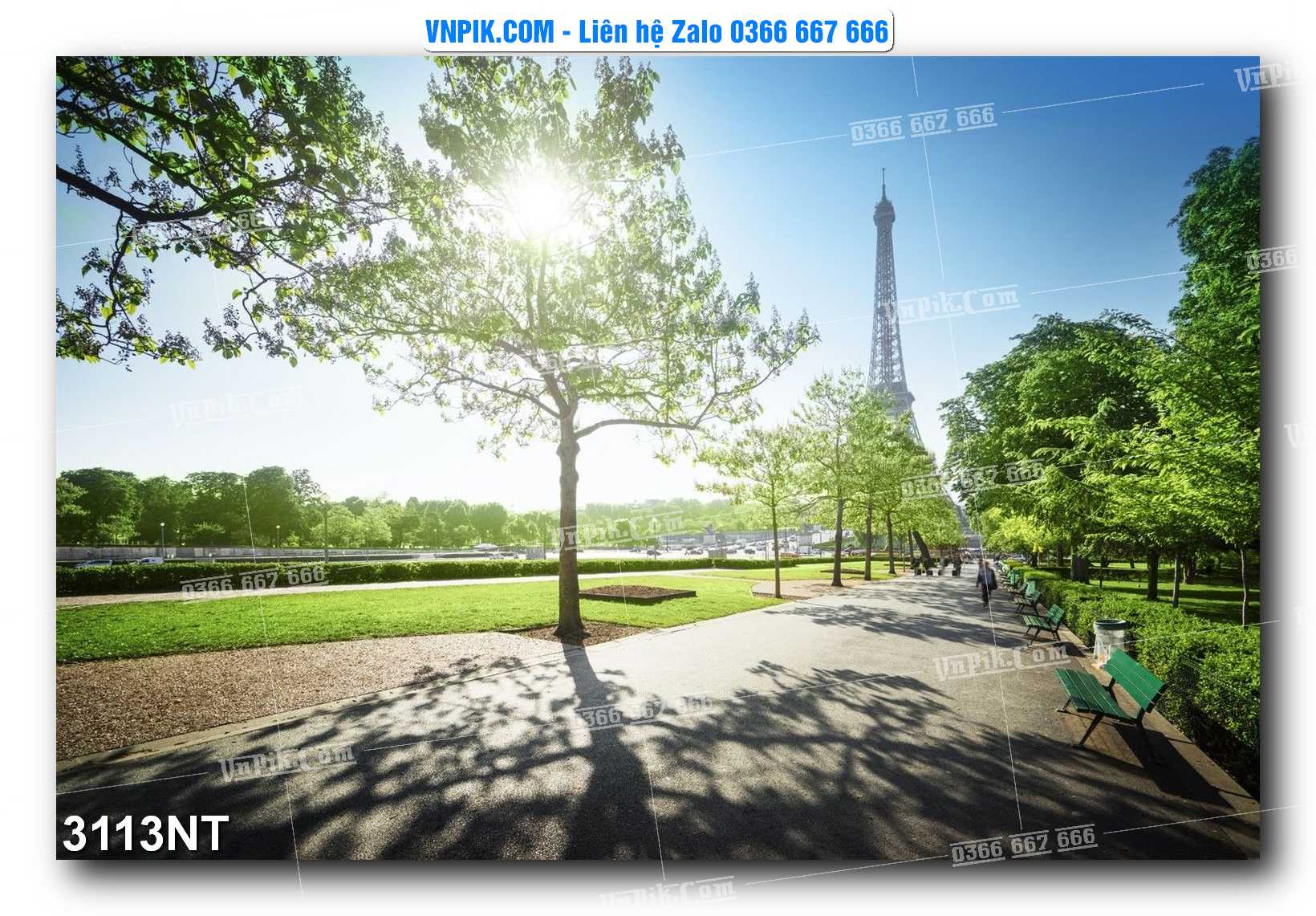 Tranh Trang Trí Phong Cảnh Nghệ Thuật Mã Số 3113NT