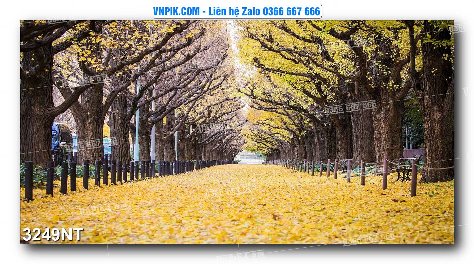 Tranh Trang Trí Phong Cảnh Nghệ Thuật Mã Số 3249NT