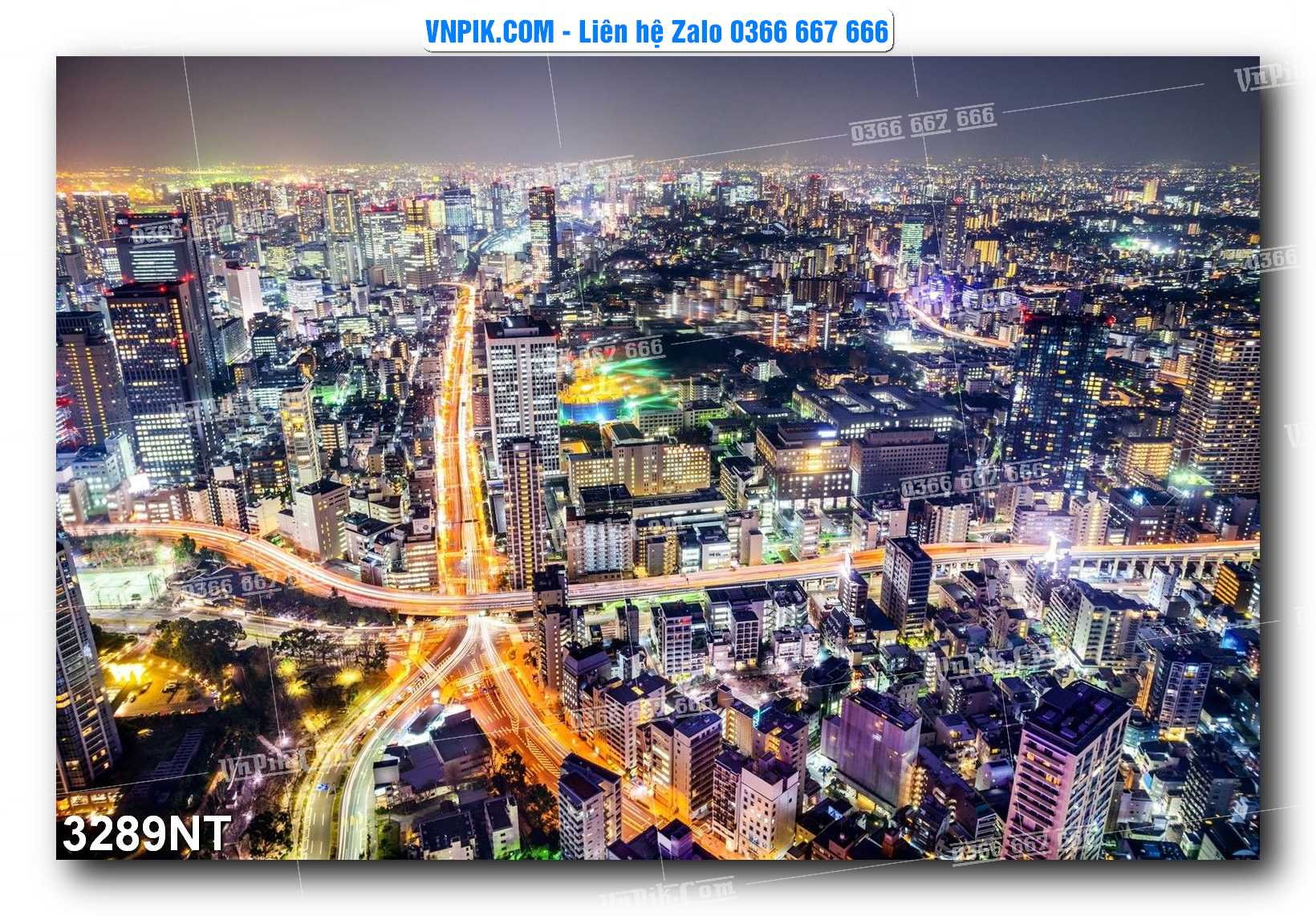 Tranh Trang Trí Phong Cảnh Nghệ Thuật Mã Số 3289NT