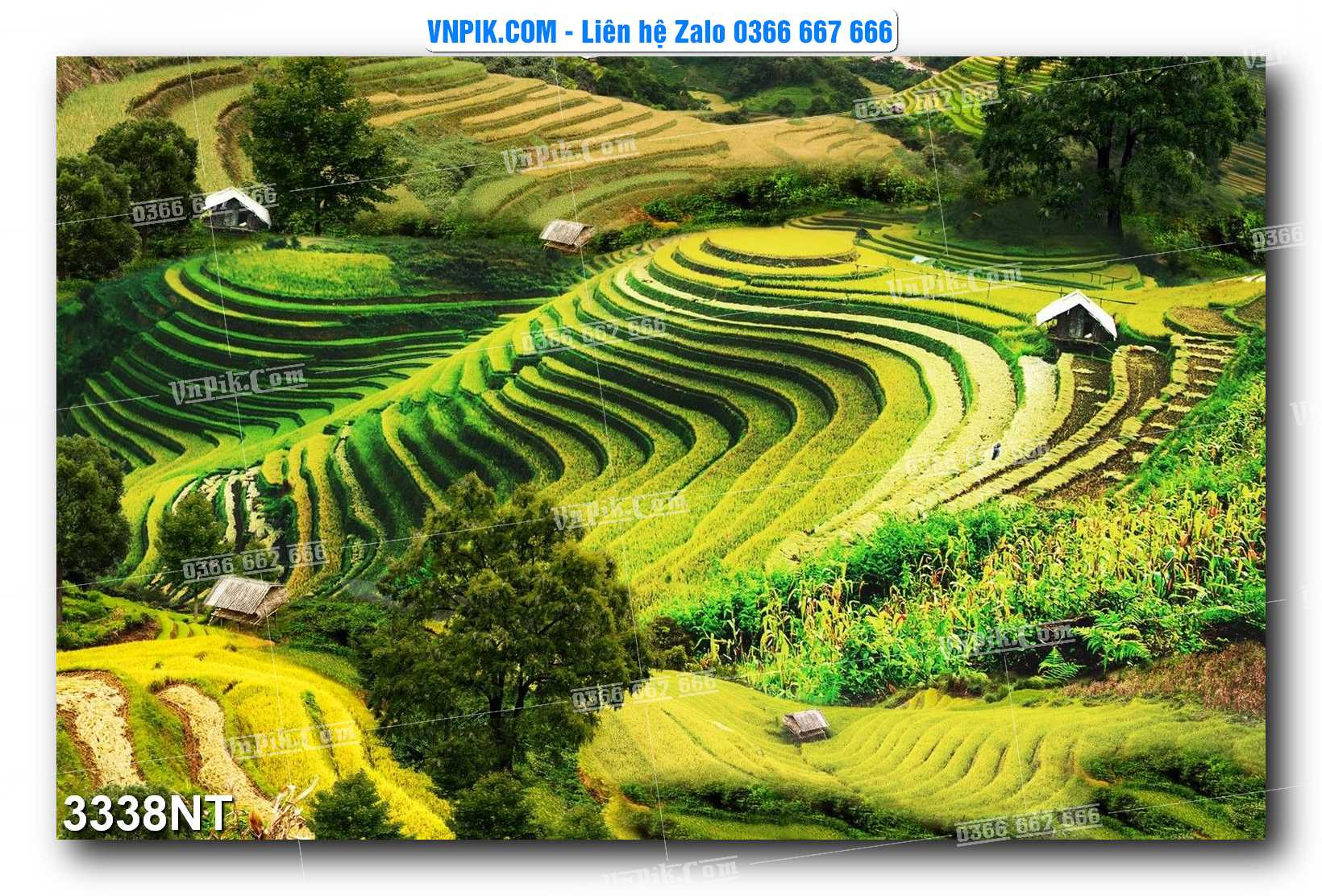 Tranh Trang Trí Phong Cảnh Nghệ Thuật Mã Số 3338NT
