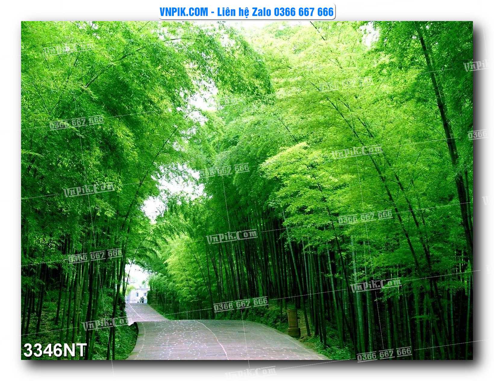 Tranh Trang Trí Phong Cảnh Nghệ Thuật Mã Số 3346NT