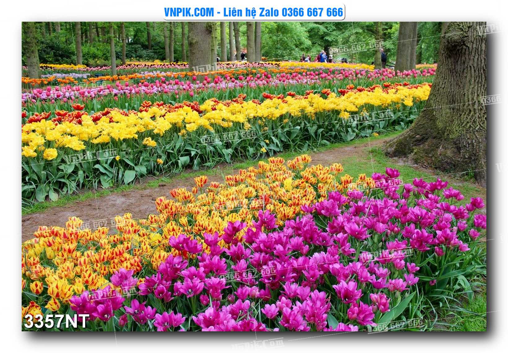 Tranh Trang Trí Phong Cảnh Nghệ Thuật Mã Số 3357NT