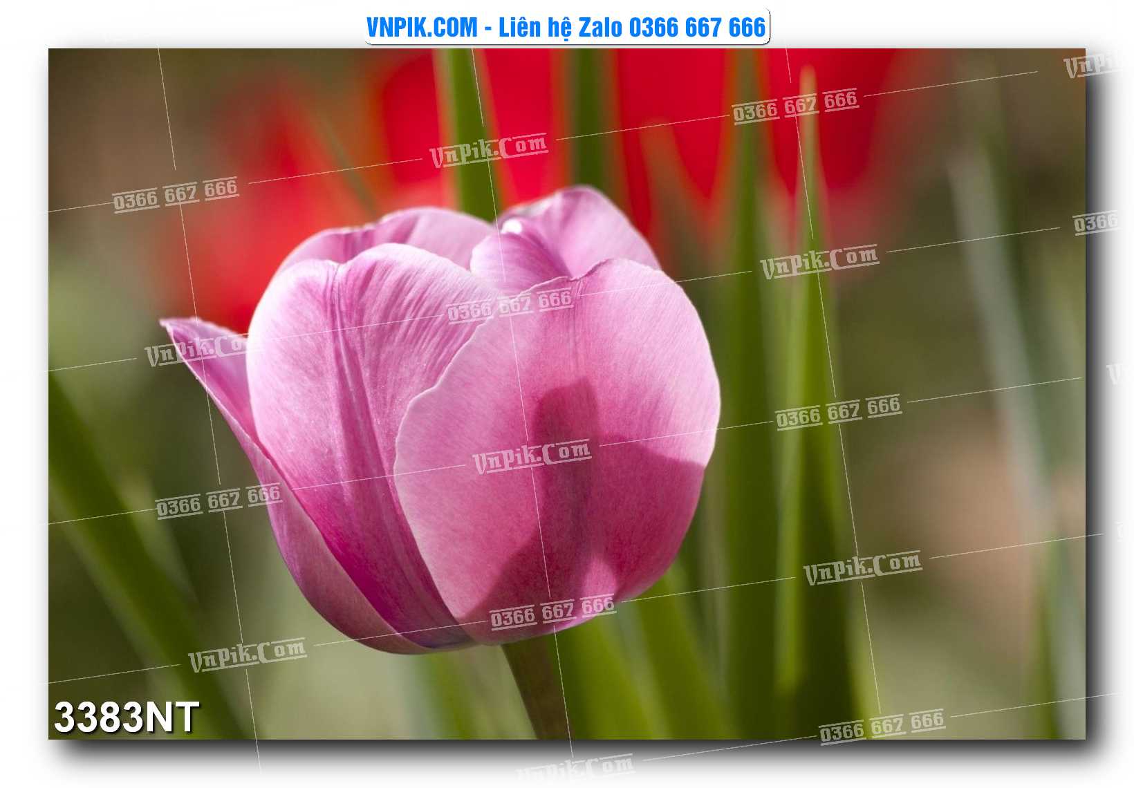 Tranh Trang Trí Phong Cảnh Nghệ Thuật Mã Số 3383NT