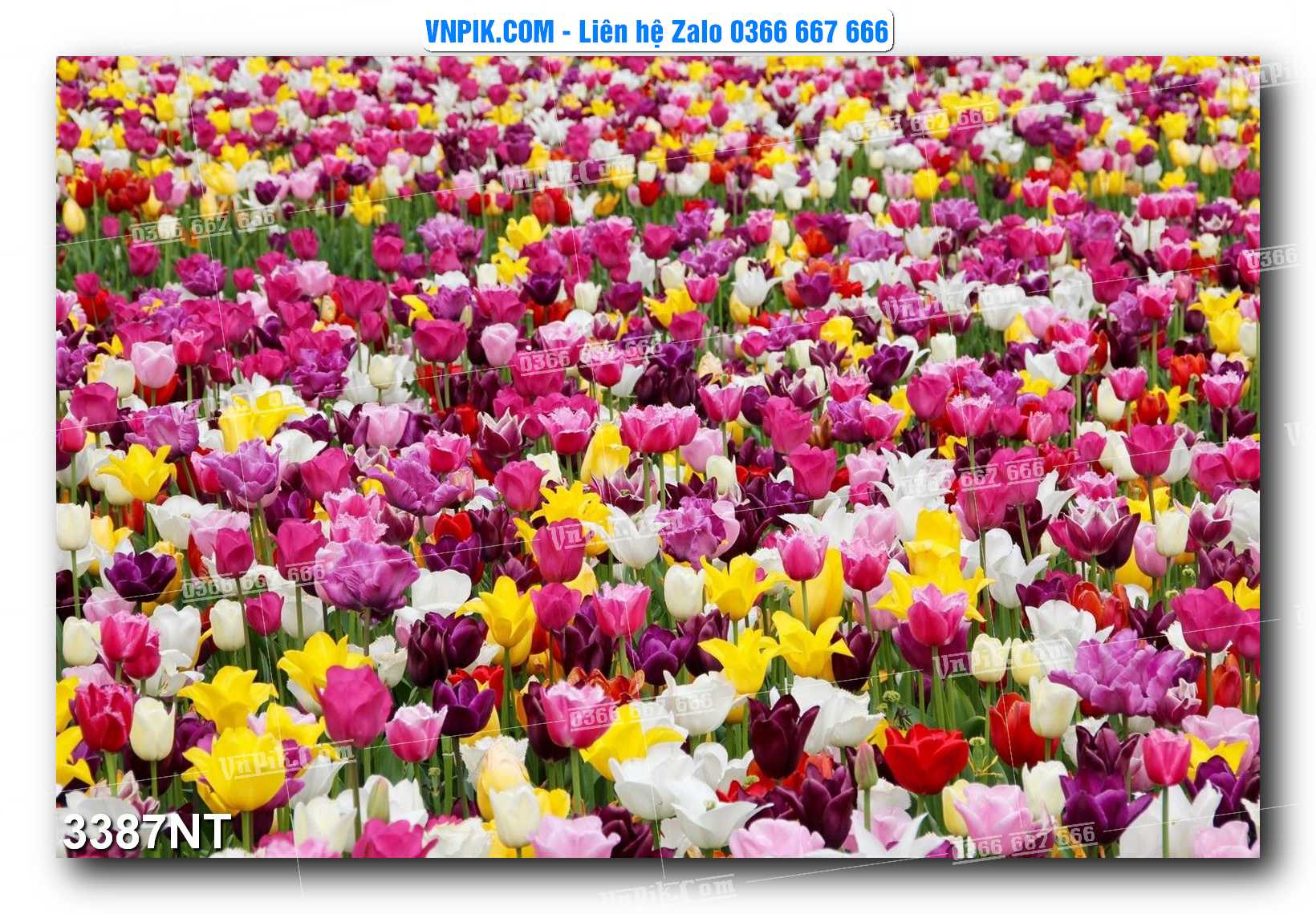 Tranh Trang Trí Phong Cảnh Nghệ Thuật Mã Số 3387NT