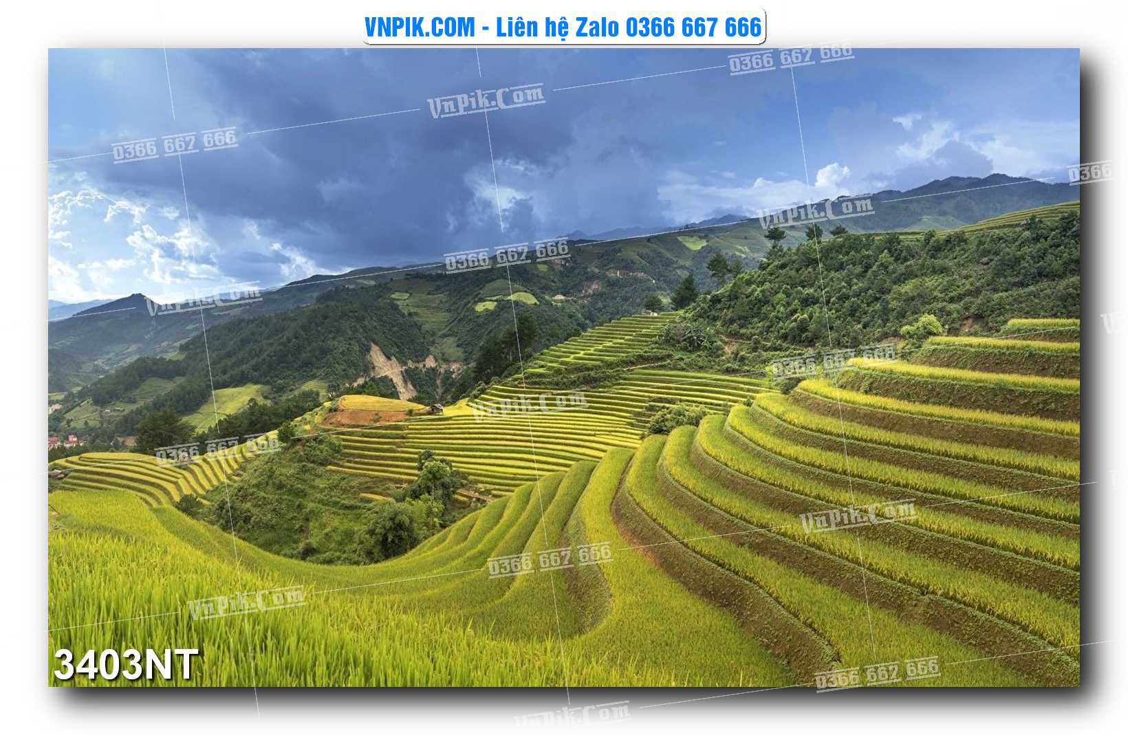 Tranh Trang Trí Phong Cảnh Nghệ Thuật Mã Số 3403NT