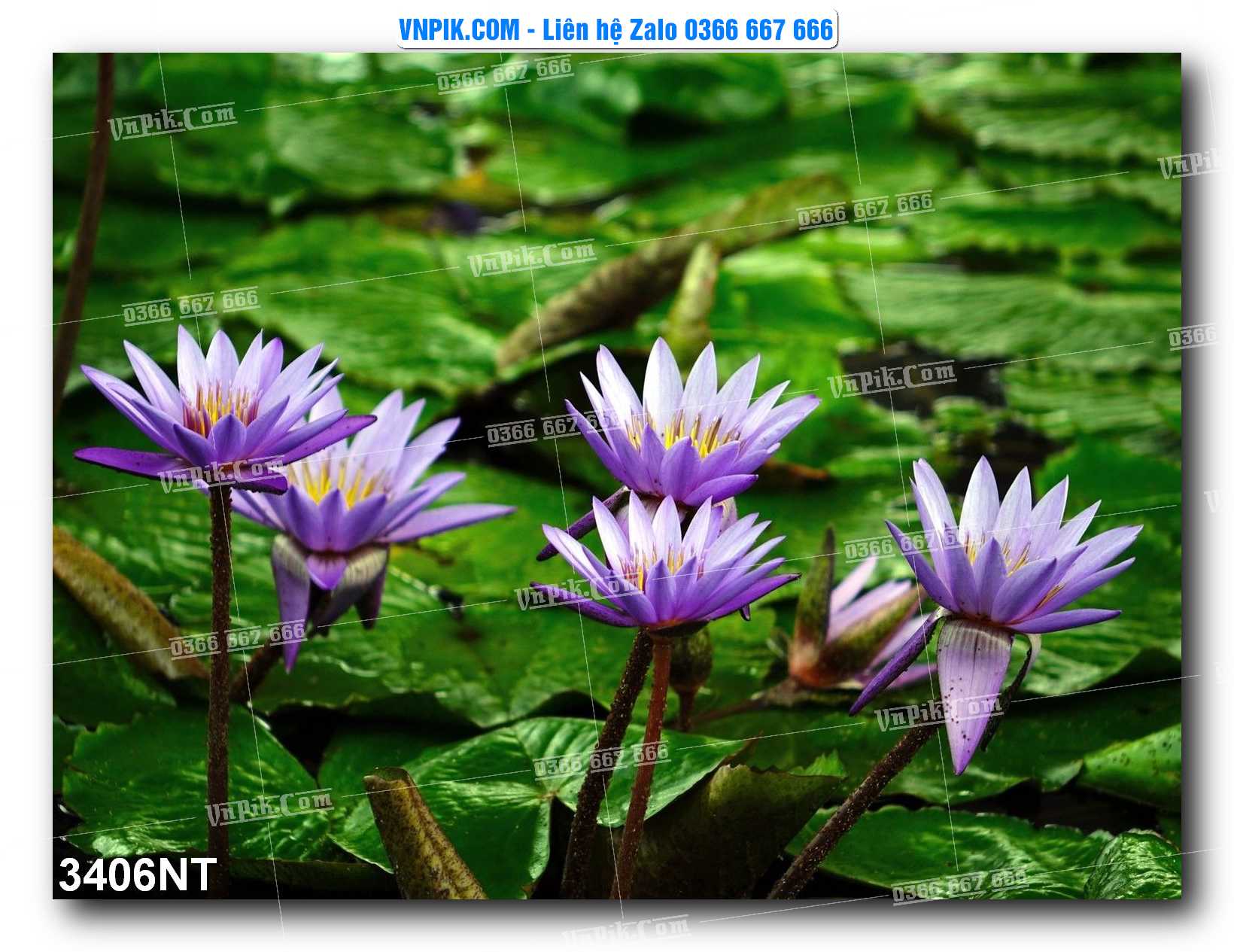 Tranh Trang Trí Phong Cảnh Nghệ Thuật Mã Số 3406NT