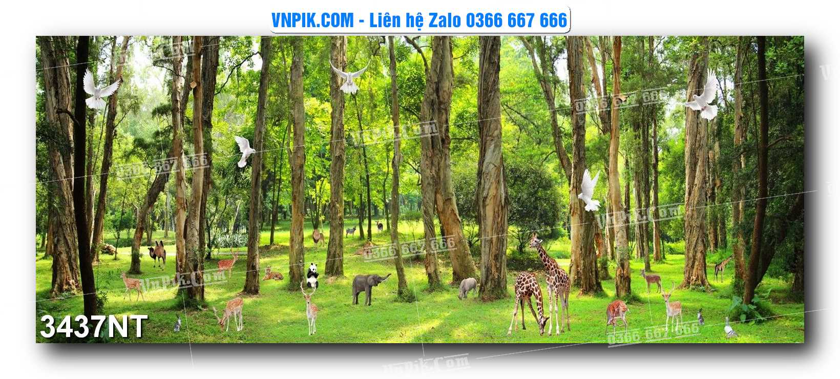 Tranh Trang Trí Phong Cảnh Nghệ Thuật Mã Số 3437NT