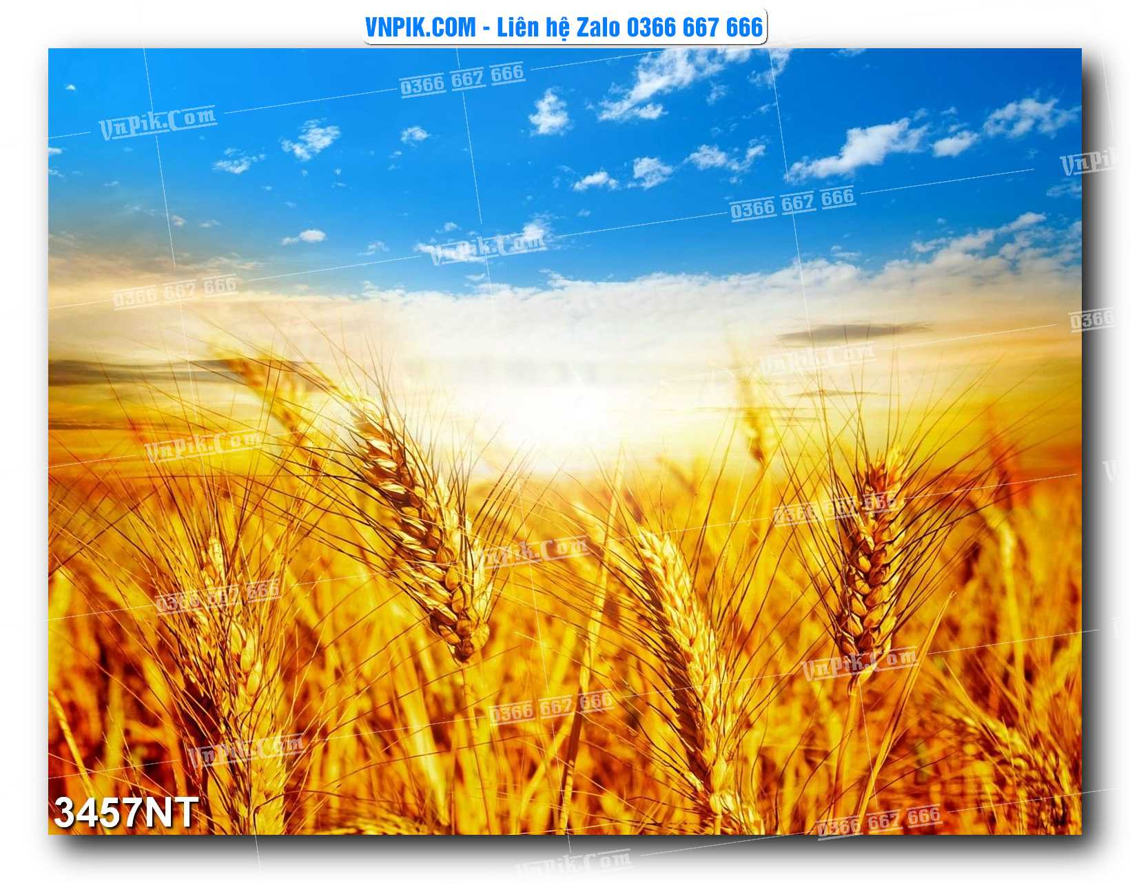 Tranh Trang Trí Phong Cảnh Nghệ Thuật Mã Số 3457NT