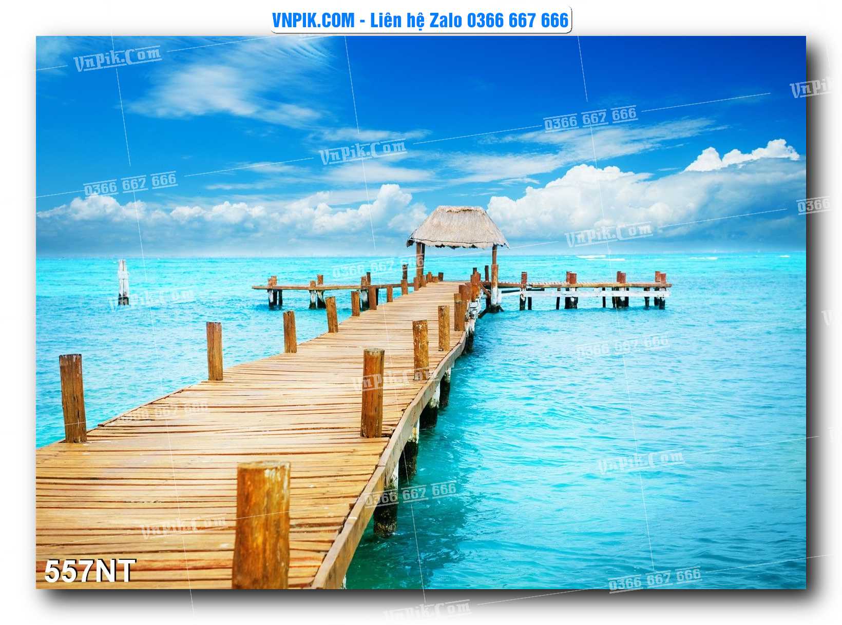 Tranh Trang Trí Phong Cảnh Nghệ Thuật Mã Số 557NT