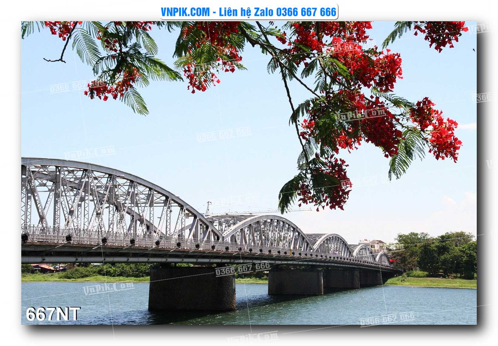 Tranh Trang Trí Phong Cảnh Nghệ Thuật Mã Số 667NT