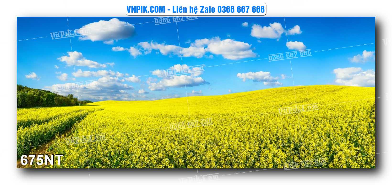 Tranh Trang Trí Phong Cảnh Nghệ Thuật Mã Số 675NT