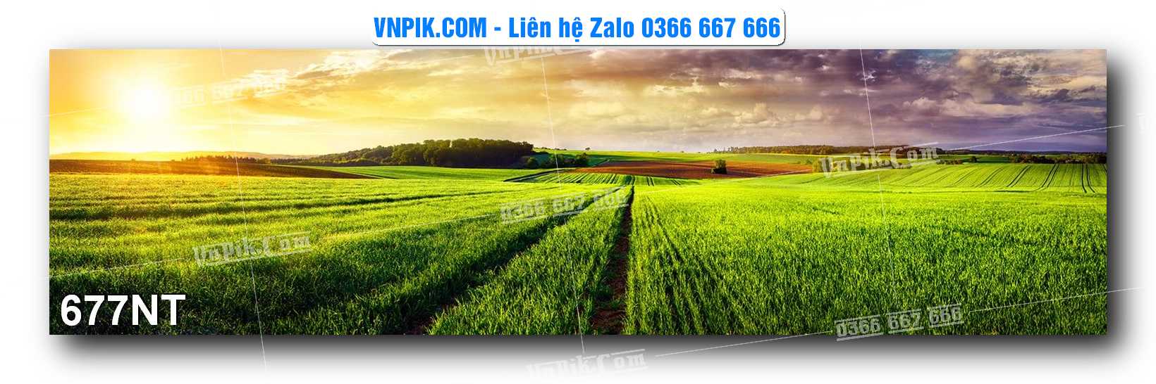 Tranh Trang Trí Phong Cảnh Nghệ Thuật Mã Số 677NT