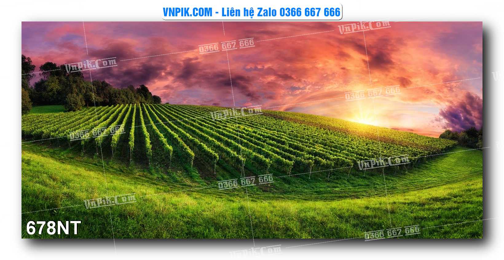 Tranh Trang Trí Phong Cảnh Nghệ Thuật Mã Số 678NT