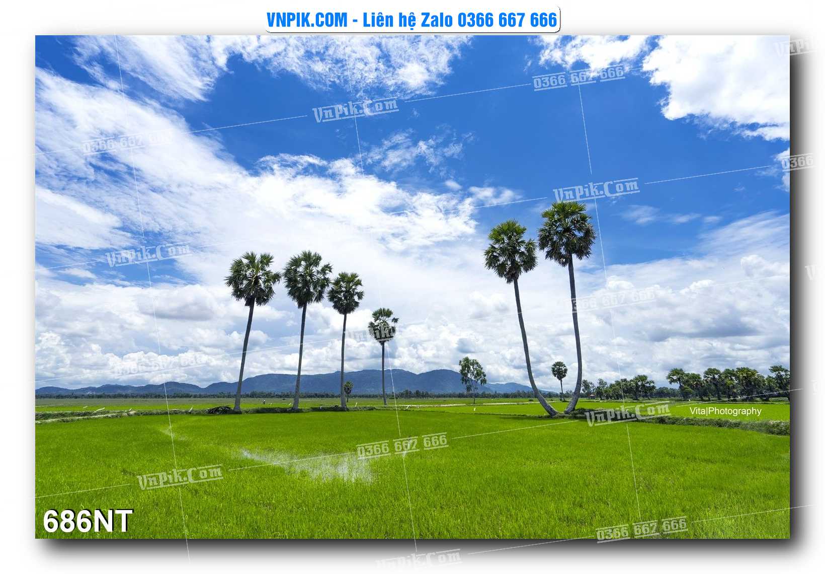 Tranh Trang Trí Phong Cảnh Nghệ Thuật Mã Số 686NT