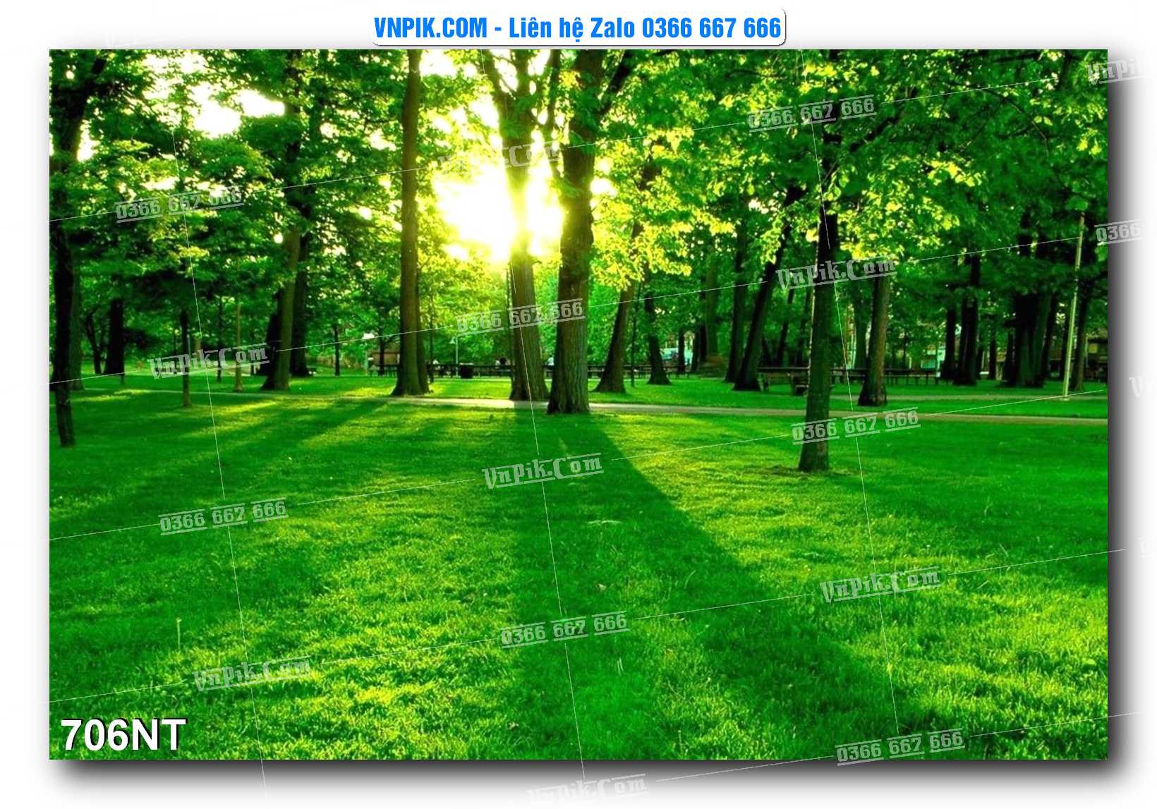 Tranh Trang Trí Phong Cảnh Nghệ Thuật Mã Số 706NT