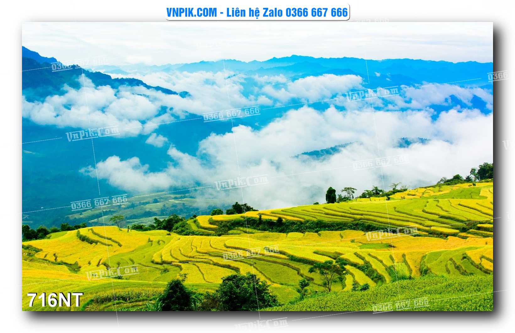 Tranh Trang Trí Phong Cảnh Nghệ Thuật Mã Số 716NT
