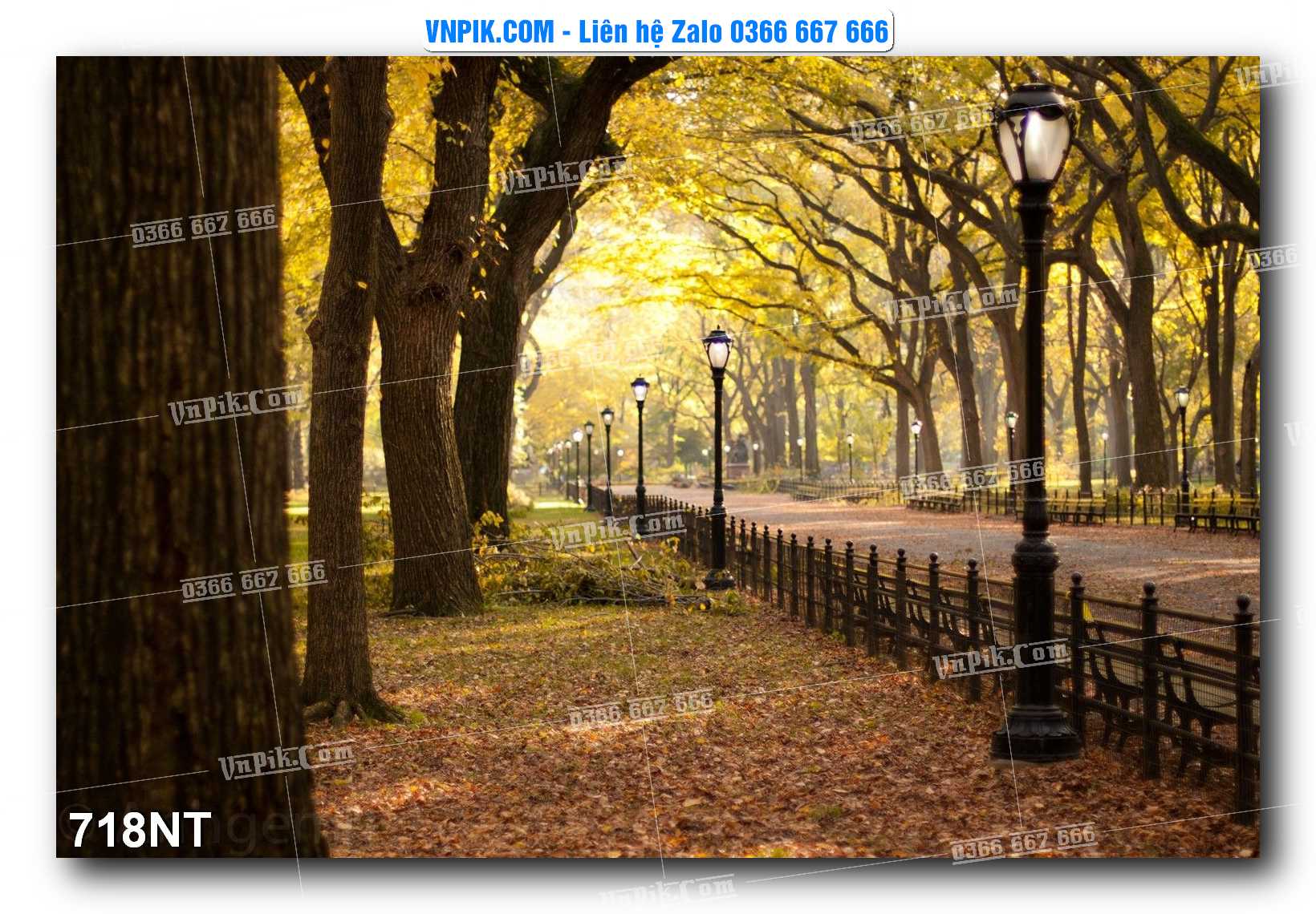 Tranh Trang Trí Phong Cảnh Nghệ Thuật Mã Số 718NT