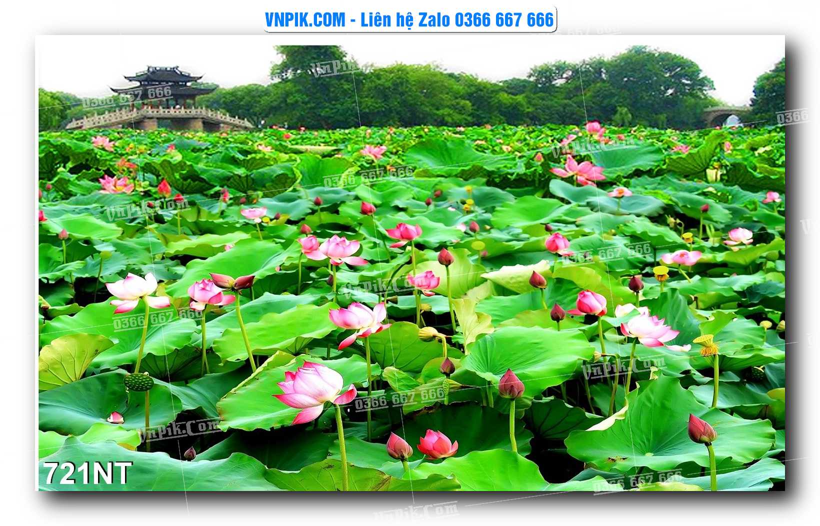Tranh Trang Trí Phong Cảnh Nghệ Thuật Mã Số 721NT