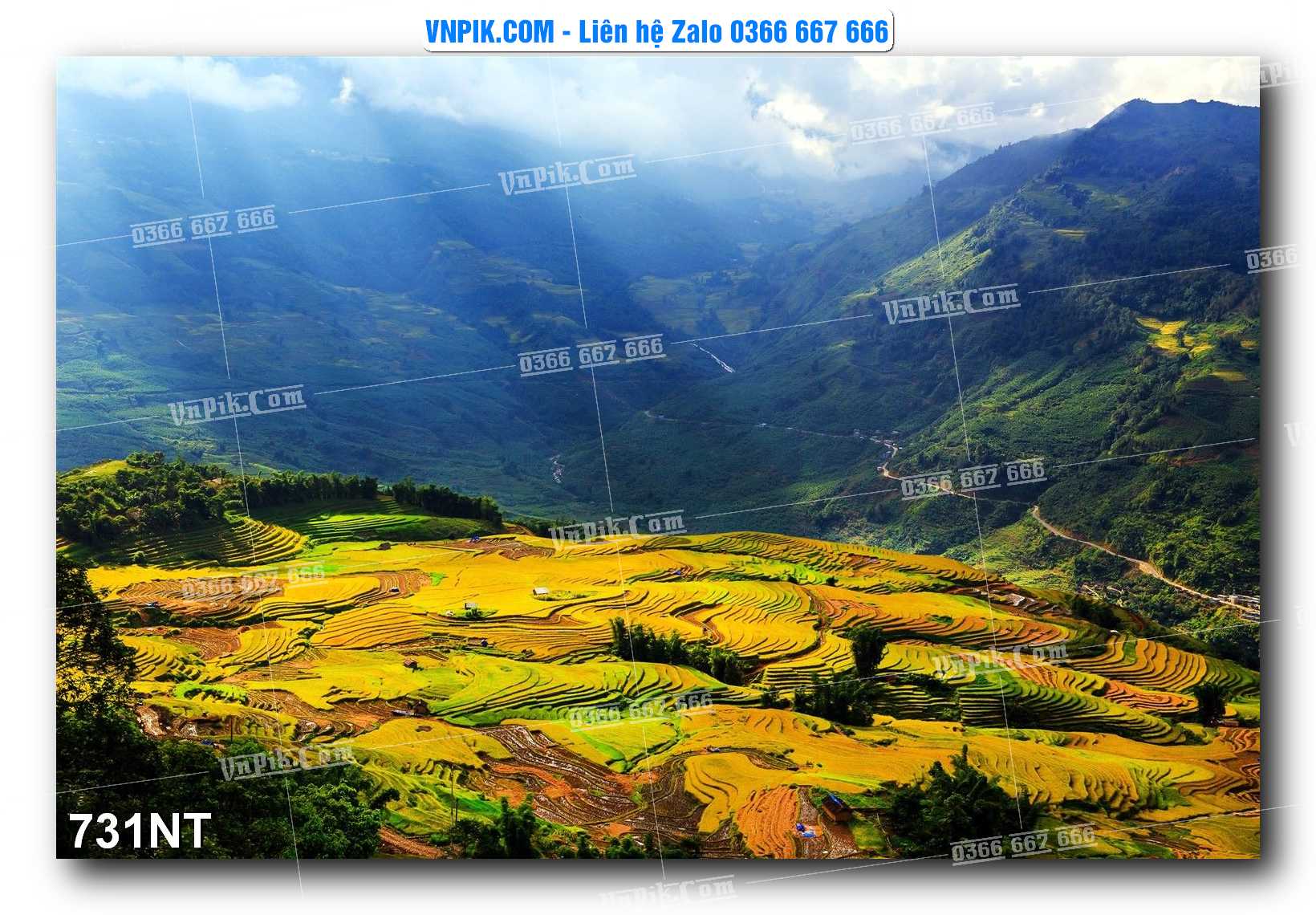 Tranh Trang Trí Phong Cảnh Nghệ Thuật Mã Số 731NT