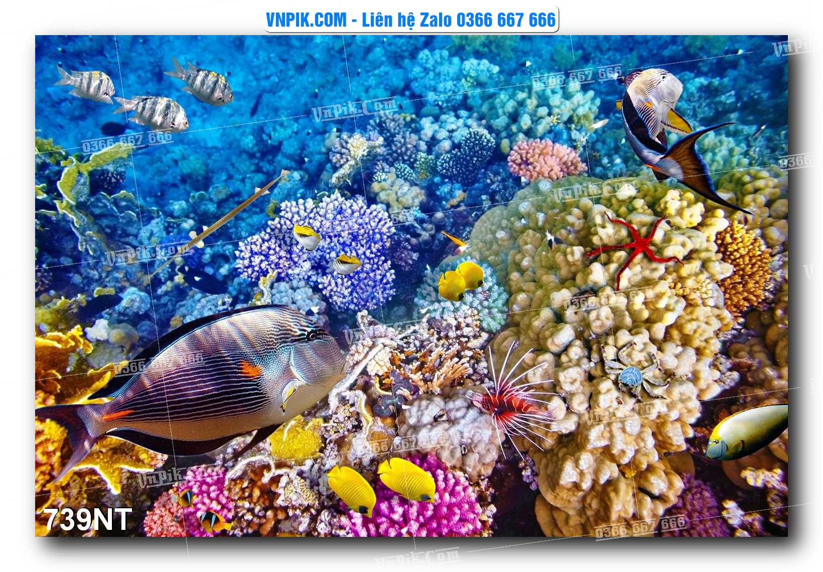 Tranh Trang Trí Phong Cảnh Nghệ Thuật Mã Số 739NT